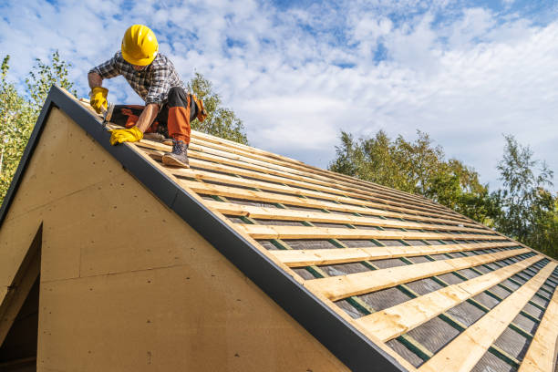 Best Roof Gutter Cleaning  in Heyburn, ID